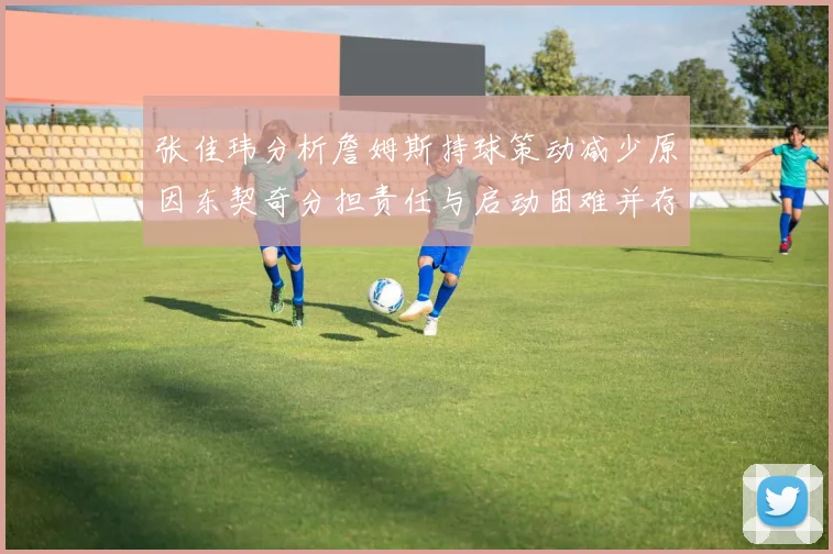 张佳玮分析詹姆斯持球策动减少原因东契奇分担责任与启动困难并存