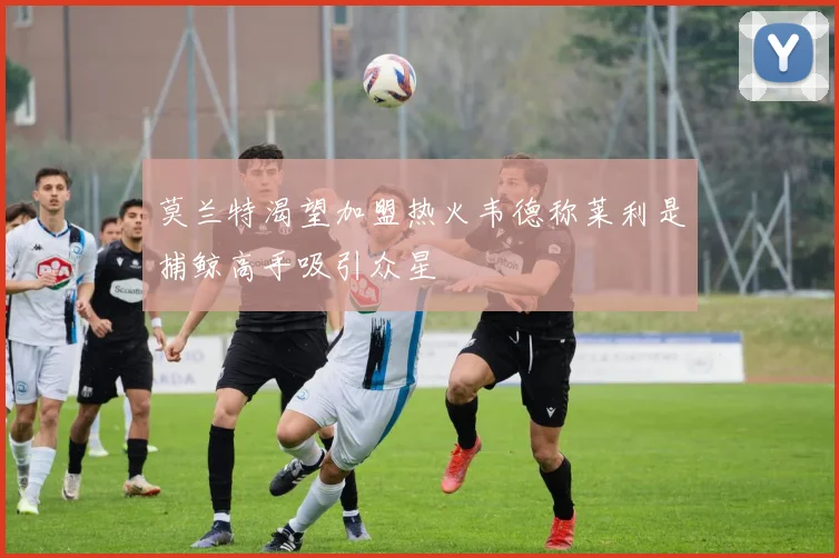 莫兰特渴望加盟热火韦德称莱利是捕鲸高手吸引众星