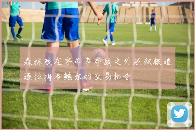 森林狼在字母争夺战之外还积极追逐拉梅洛鲍尔的交易机会